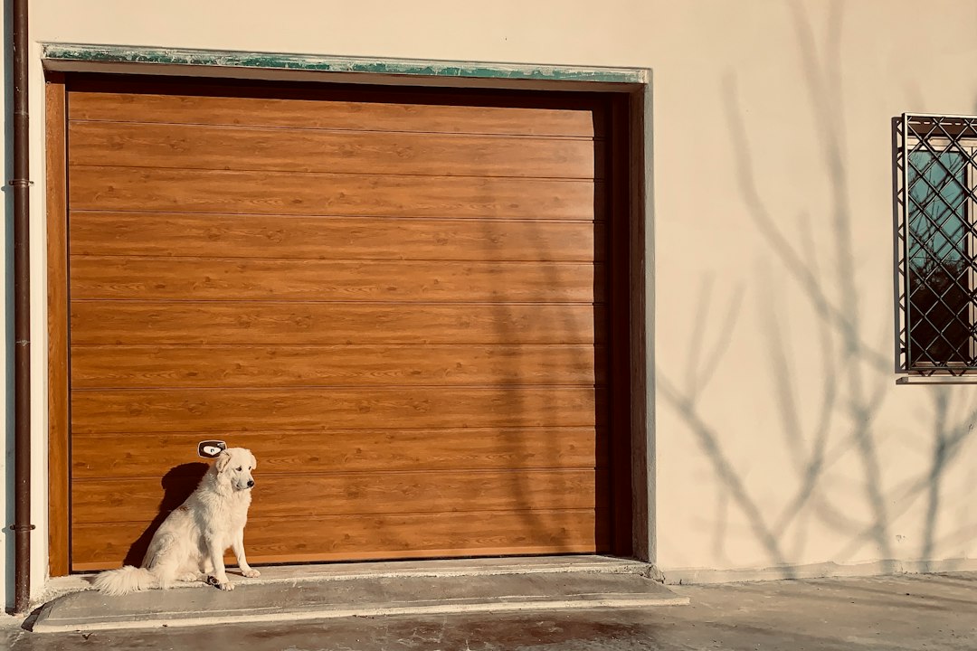 Dog sitting beside garage door in Long Beach, CA
